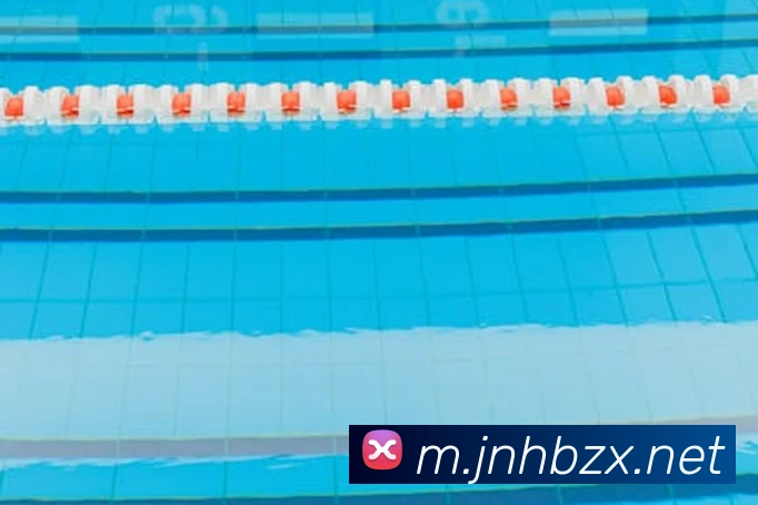 金年会平台生态图